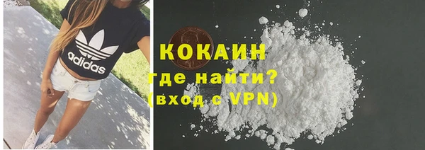 прущие грибы Абаза