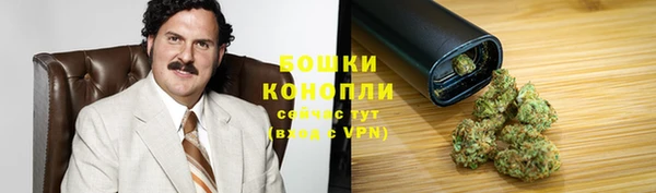 прущие грибы Абаза