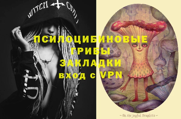 прущие грибы Абаза
