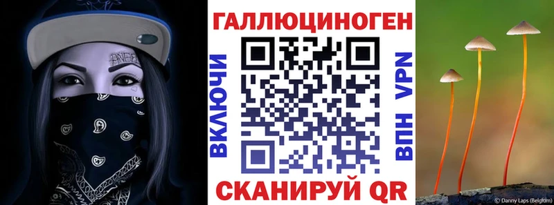 Галлюциногенные грибы мицелий  Керчь 