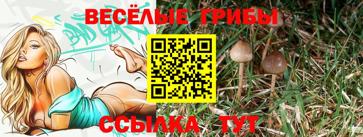 Псилоцибиновые грибы MAGIC MUSHROOMS  Вход с VPN  Керчь  Псилоцибиновые грибы ЛСД 